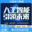 专属特色话术定制优化 助力降本增效 大数据获客渠道 启晟睿网络科技