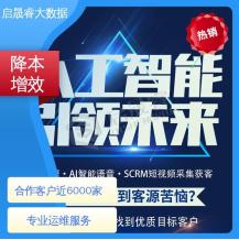 快速助力拓展业务市场 专业运维团队 三网大数据获客 启晟睿